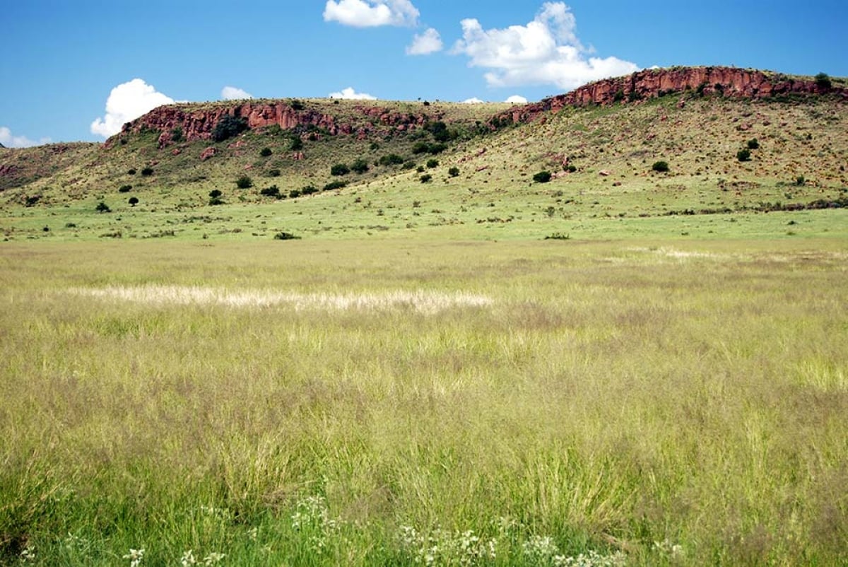 RANGELAND RESTORATION RESEARCH