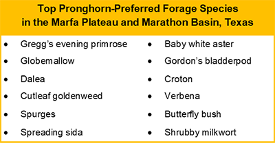 pronghorn forage table