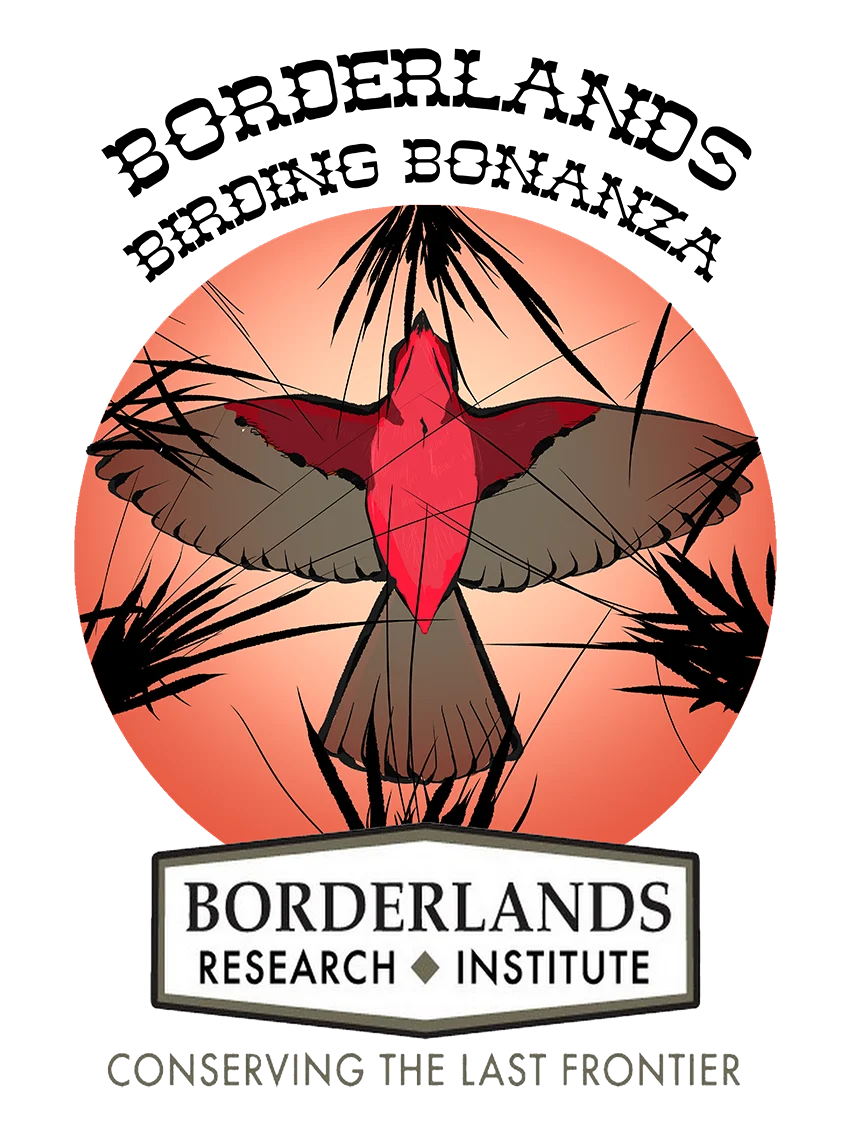 Borderlands Birding Bonanza Launches in West Texas