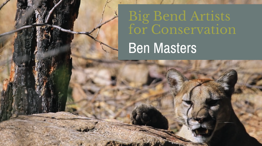 Artists Banner - Ben Masters
