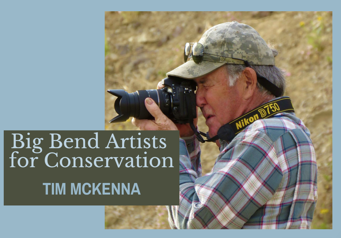 Tim McKenna