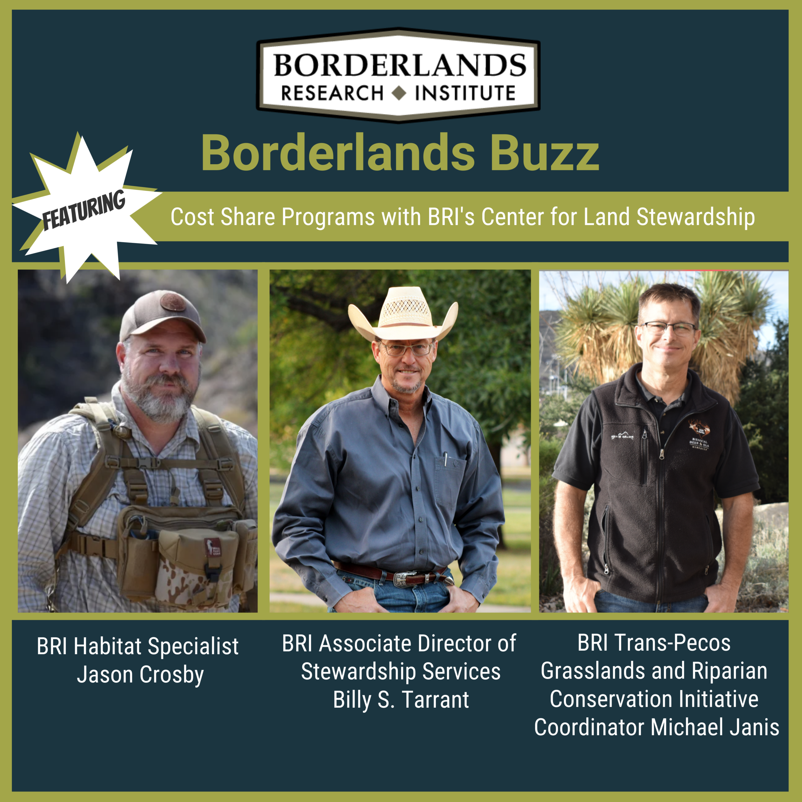 BORDERLANDS BUZZ Scaled