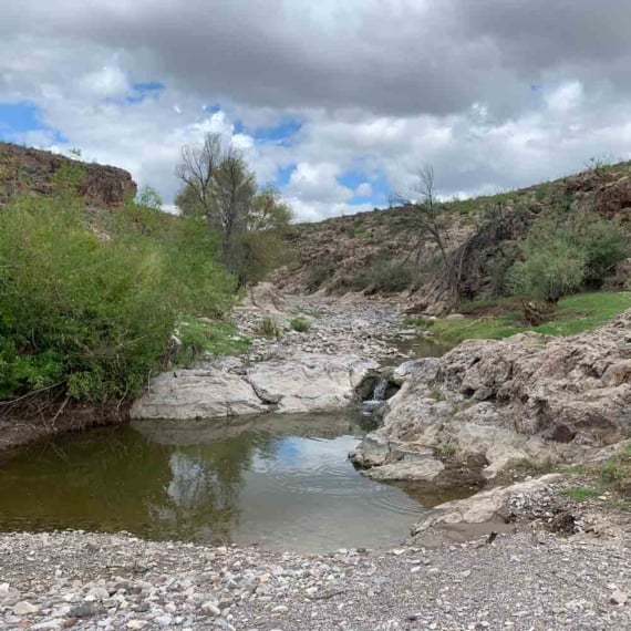 Water hole in the desert, surrounded by brush under a cloudy sky.