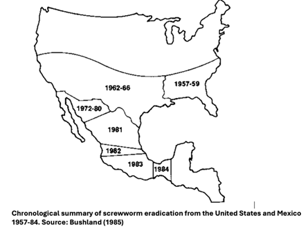 Chronological summary of screwworm eradication from the United States and Mexico 1957-84. Source: Bushland (1985)