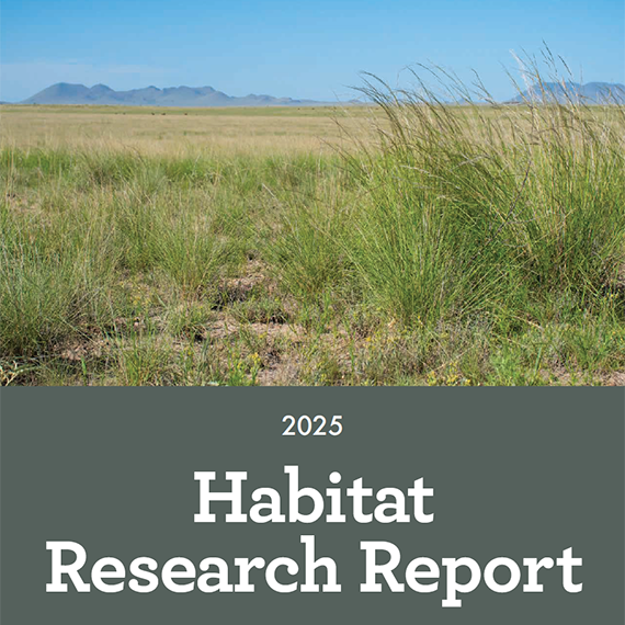 Habitat Research Report 2025 Cover
