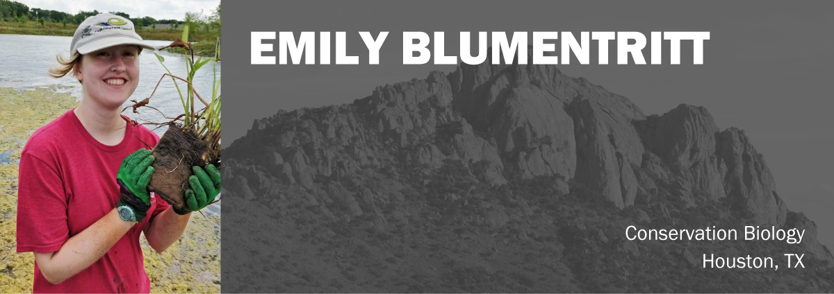 Emily-Blumentritt-Header Emily Blumentritt