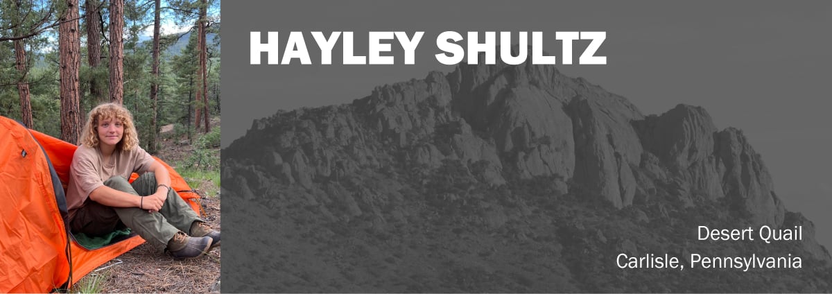 Hayley-Shultz-Header Hayley Shultz