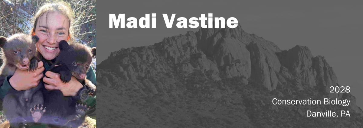 Madison-Vastine-Header Madi Vastine