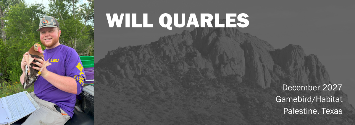 Will-Quarles-Header Will Quarles