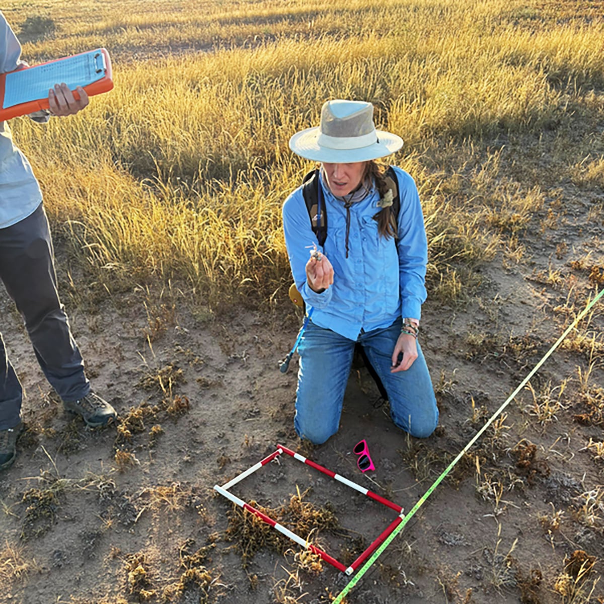 pic2 Sarah Jane ‘SJ’ Gilbert