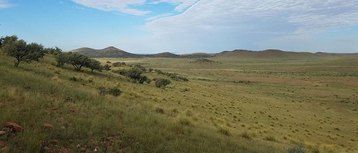 NFWF-Grasslands2