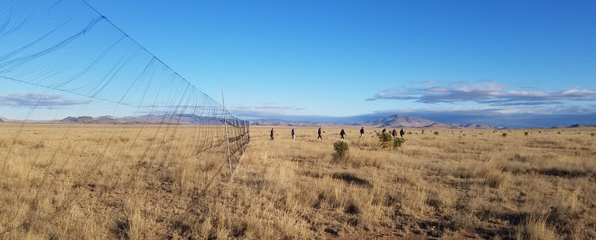 Volunteers Assisted with Grassland Bird Banding Captures This Winter