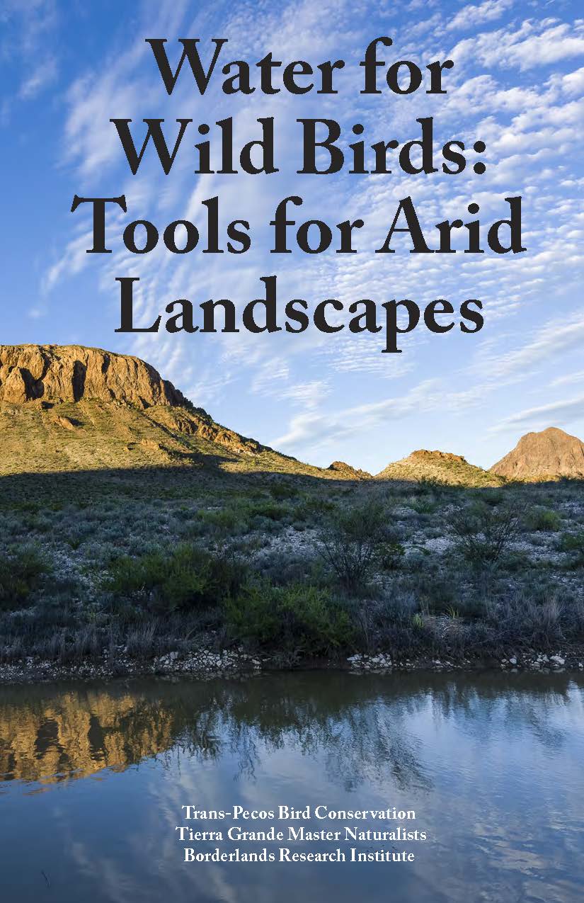 Water for Wild Birds Publication Now Available in West Texas