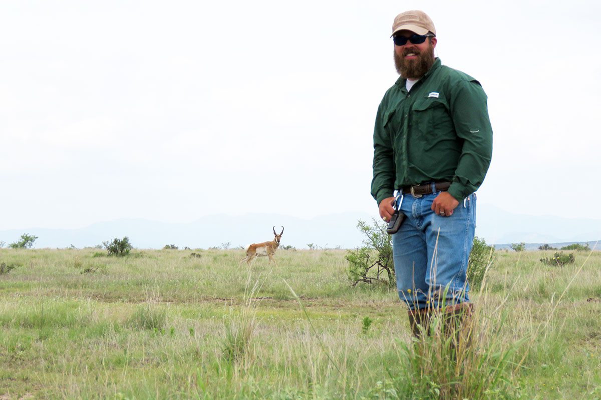jacob-locke-pronghorn