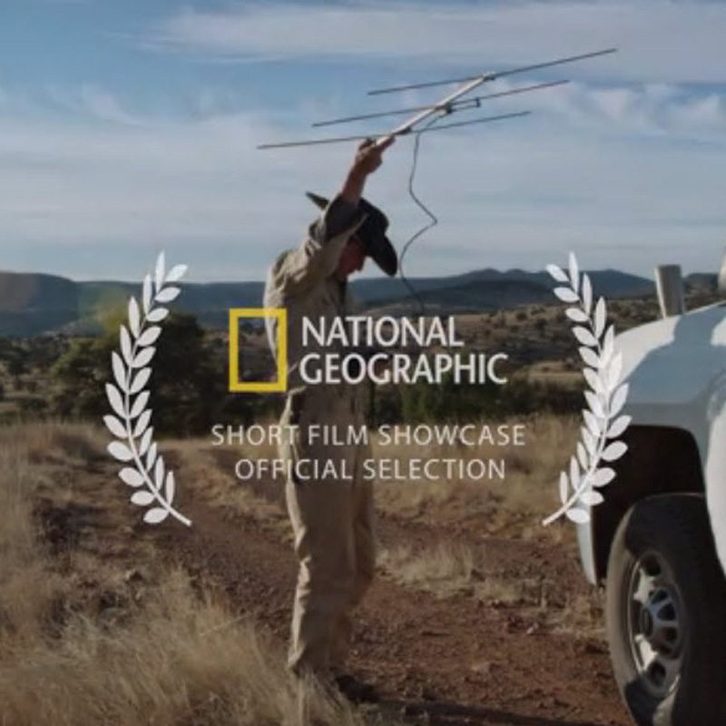 natgeo-film