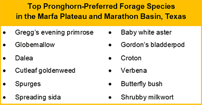 pronghorn-forage-table