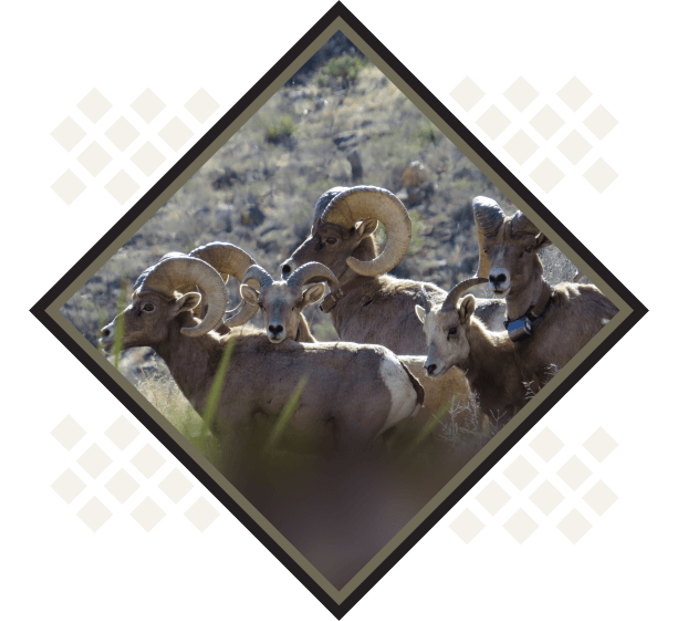 Support Conservation Where It Matters Most