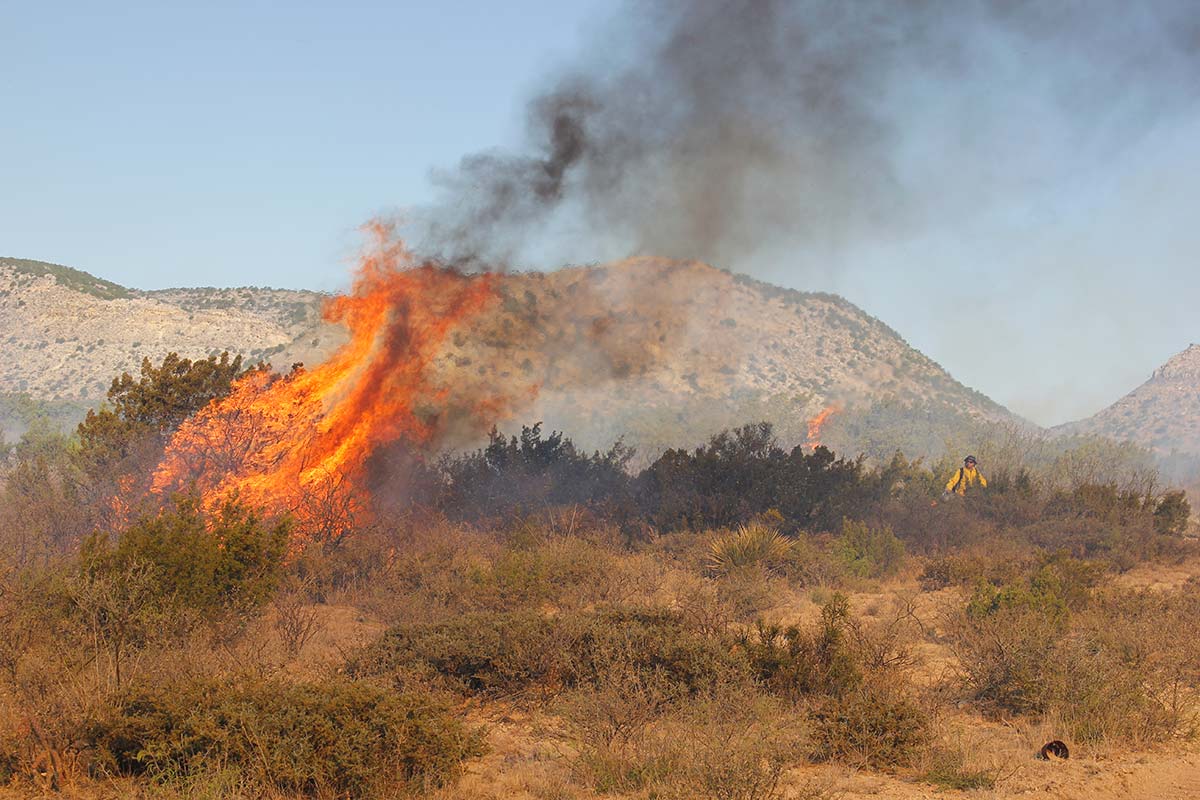 Fire Overview