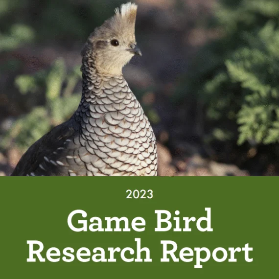 2023 Game Bird Research Report