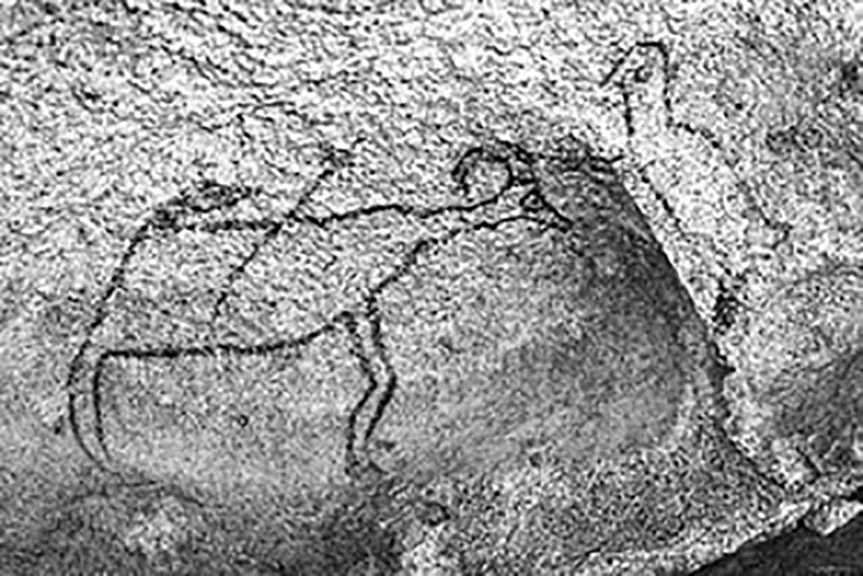 A Brief History of Texas Bighorns