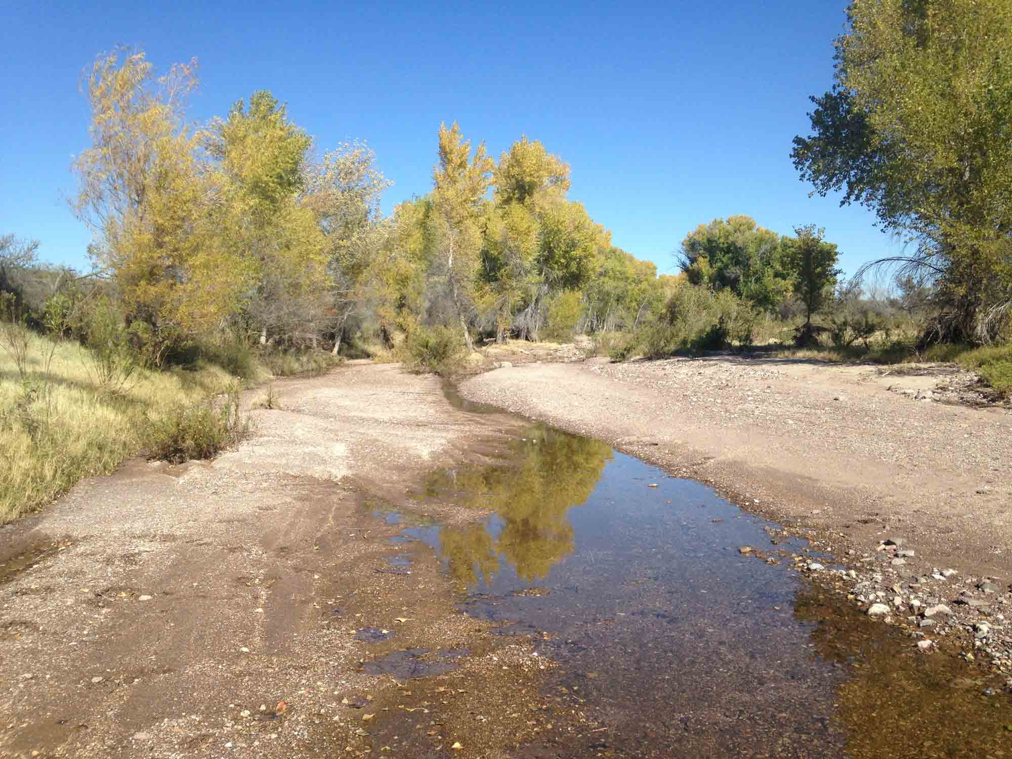 Alamito Creek Billy Tarrant