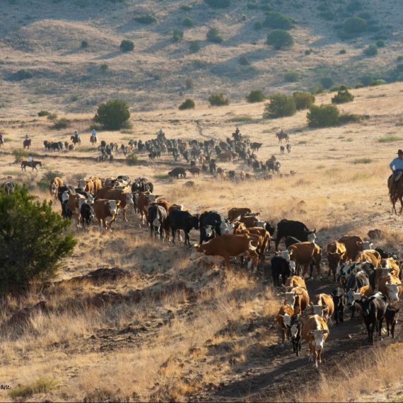Banner1_Front_Ranching_Heritage-570x570