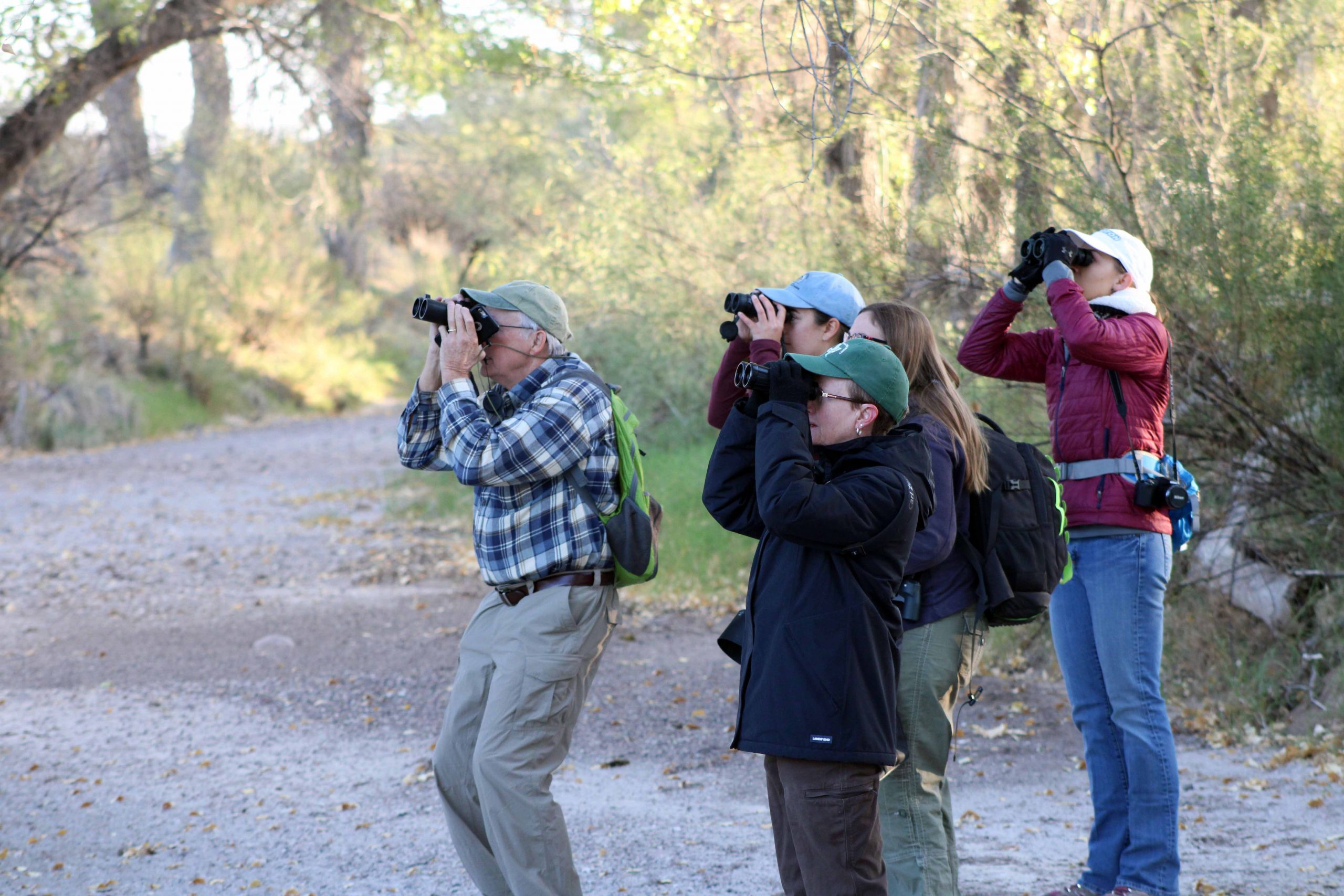 Borderlands Birding Bonanza events scheduled Nov. 14 & Nov. 15 in West Texas