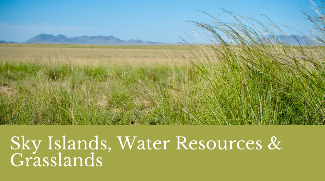 Ecological Diversity in the Big Bend Region: How Sky Islands, Water Resources and Grasslands Make This Region Unique
