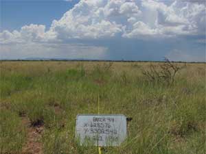 HR_FE_pronghorn2