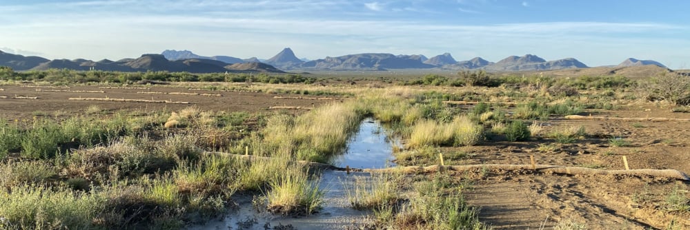 Habitat Restoration at Nine Points Mesa Ranch