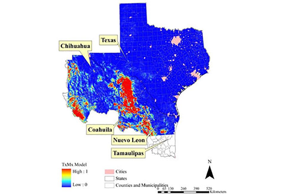 Habitat Suitability Model for Black Bear in the Chihahuan Desert of Texas and Northern Mexico