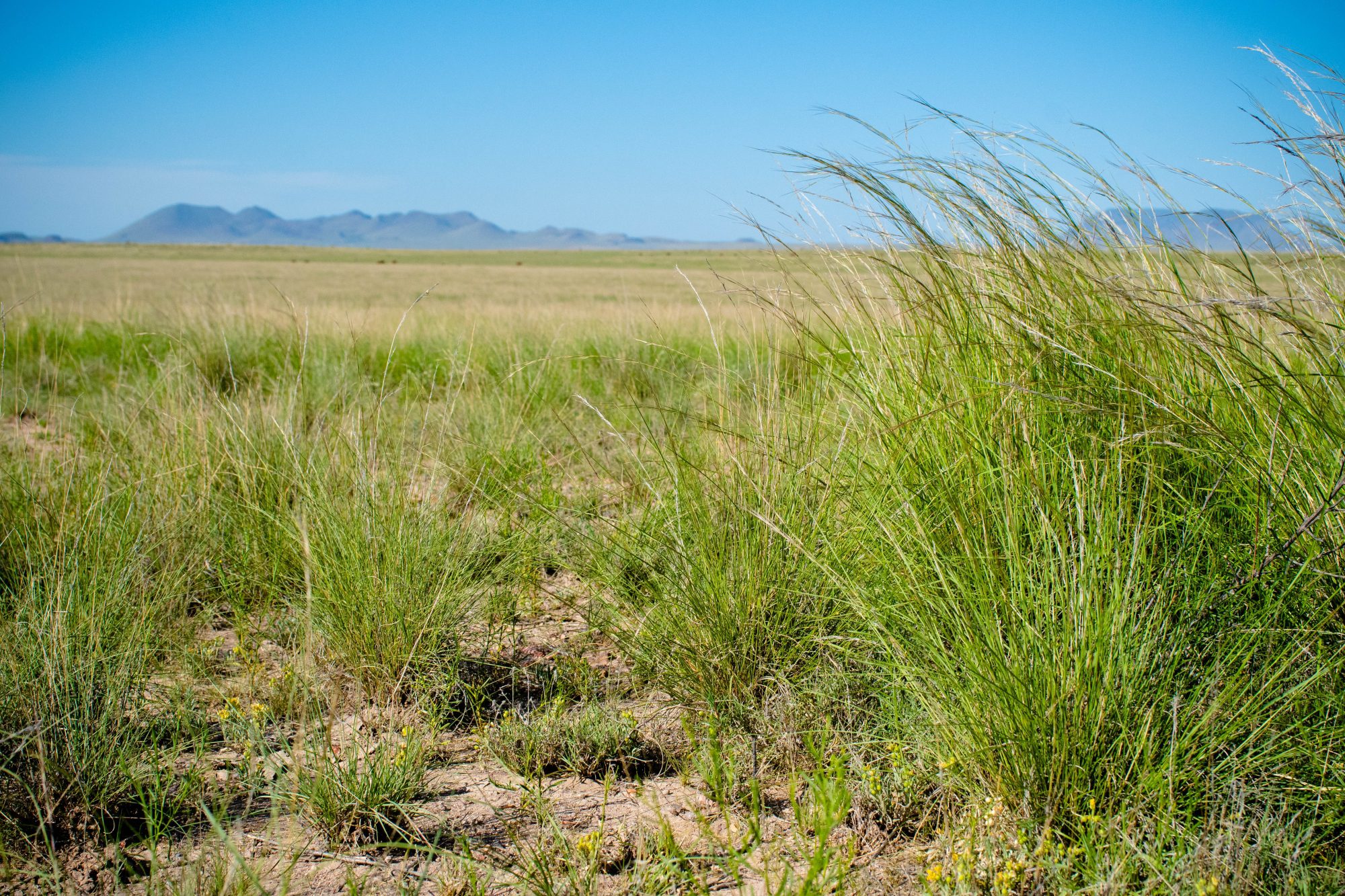 Healthy Lands and Energy Development Summit Scheduled in Midland April 6