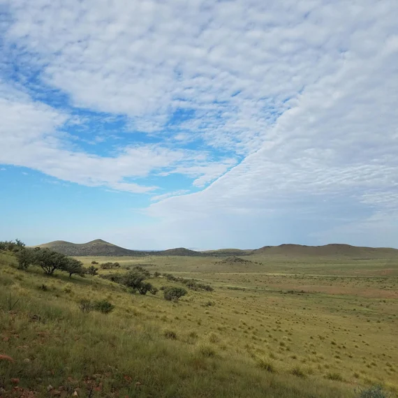 NFWF-Grasslands-570x570