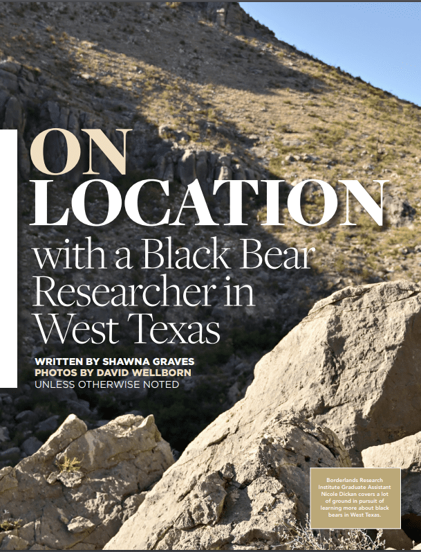 On Location with a Black Bear Researcher