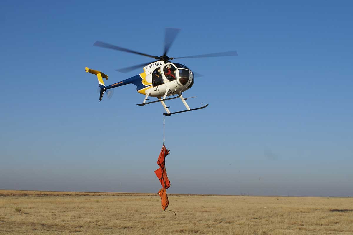 Pronghorn Restoration Efforts and Survival