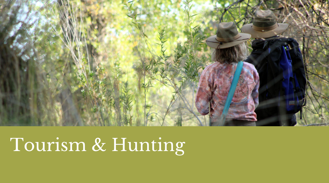 Tourism and Hunting