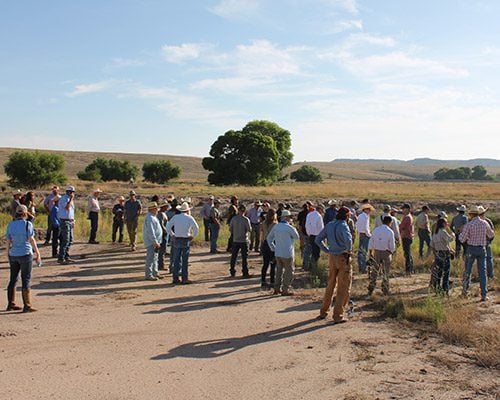 Trans Pecos wildlife Conference Event2026
