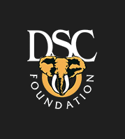 Dsc