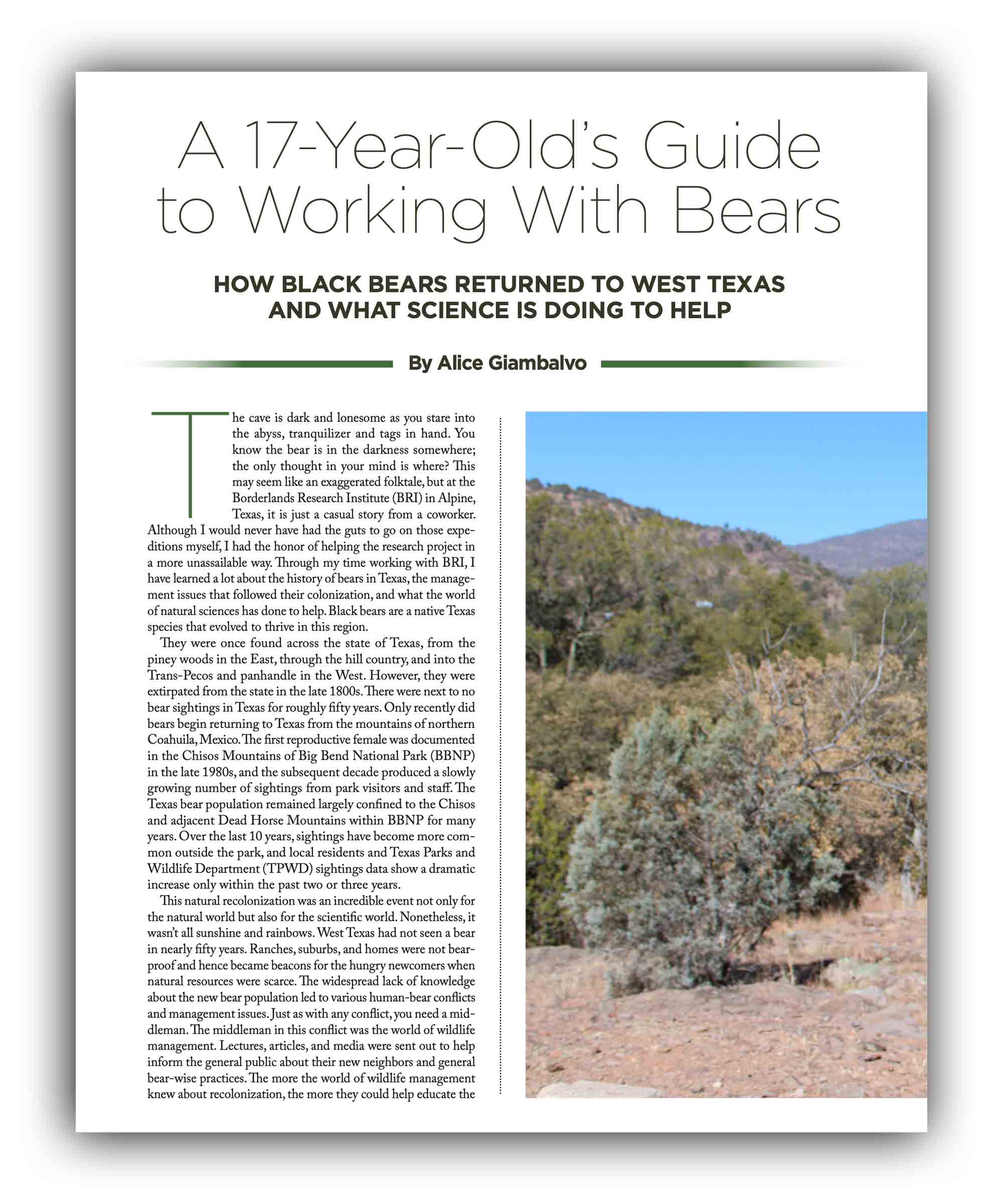 A 17-Year-Old&rsquo;s Guide to Working with Bears