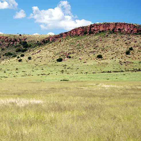RANGELAND RESTORATION
