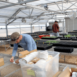 West Texas Native Seeds Project