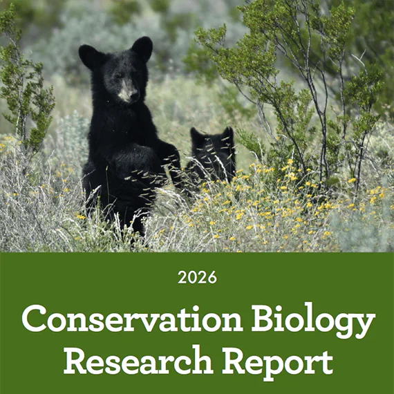 BRI Conservation Biology Report -Spring 2026