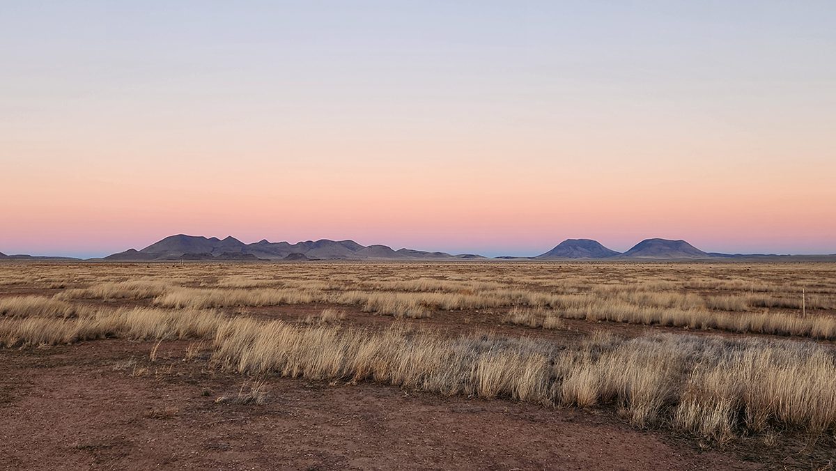 Trans-Pecos grasslands