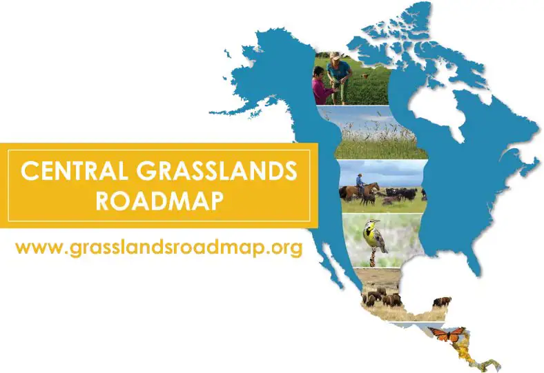 Central Grasslands Roadmap