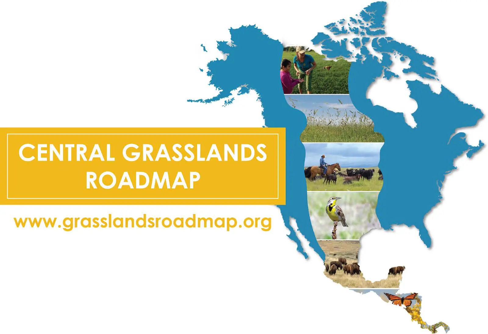 North American Grassland Conservation Effort